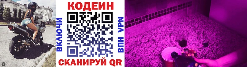 наркошоп  Калтан  площадка клад  Кодеин Purple Drank 