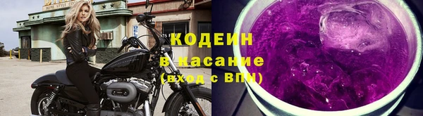 ГАЛЛЮЦИНОГЕННЫЕ ГРИБЫ Рославль