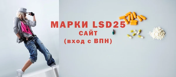 ГАЛЛЮЦИНОГЕННЫЕ ГРИБЫ Рославль