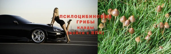 каннабис Алексеевка