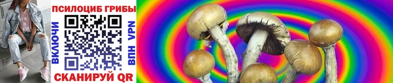 Галлюциногенные грибы GOLDEN TEACHER  Калтан 